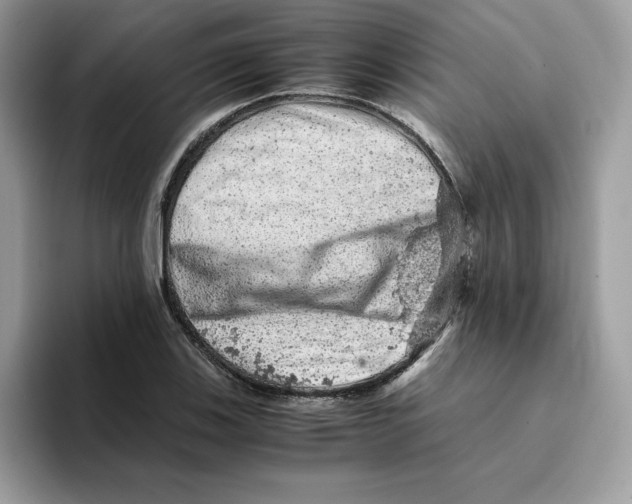 X0000093431123200711091431