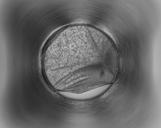 X0000093431124200711091431