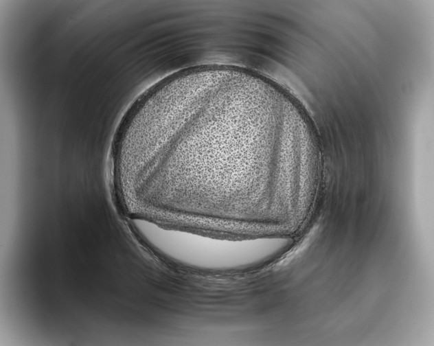 X0000093431125200711091431