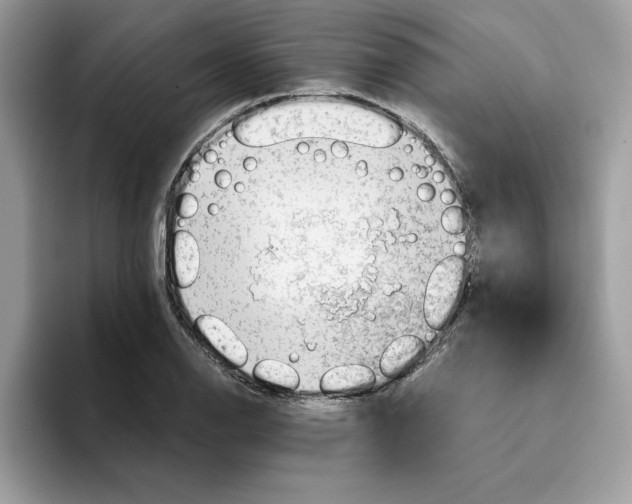 X0000093431126200711091431