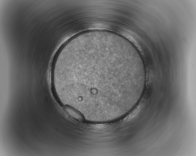 X0000093431130200711091431