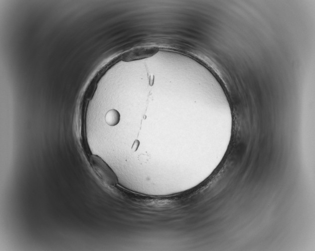 X0000093431131200711091431