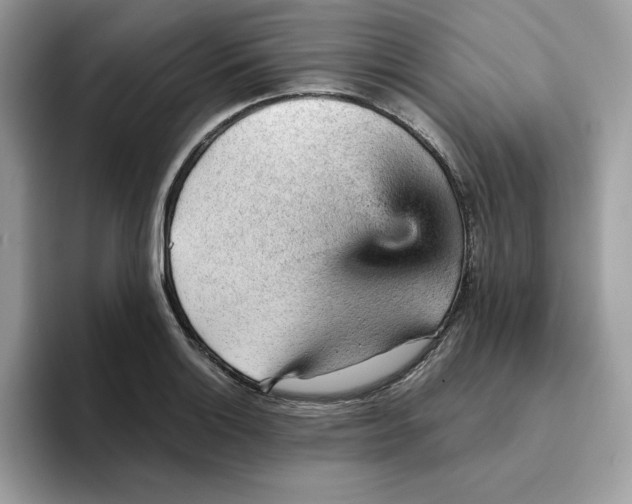 X0000093431132200711091431