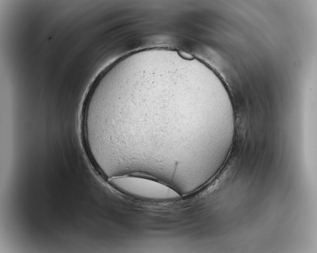X0000093431135200711091431