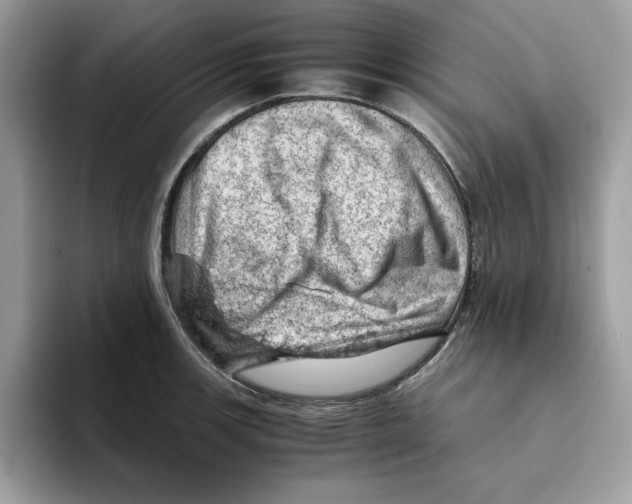 X0000093431139200711091431