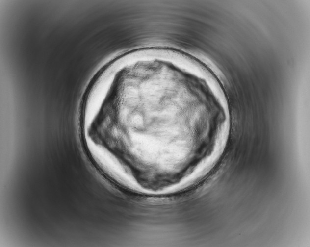 X0000093431142200711091431