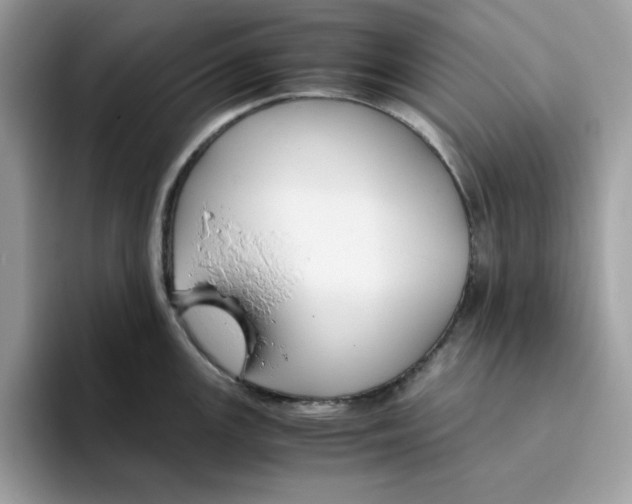 X0000093431147200711091431