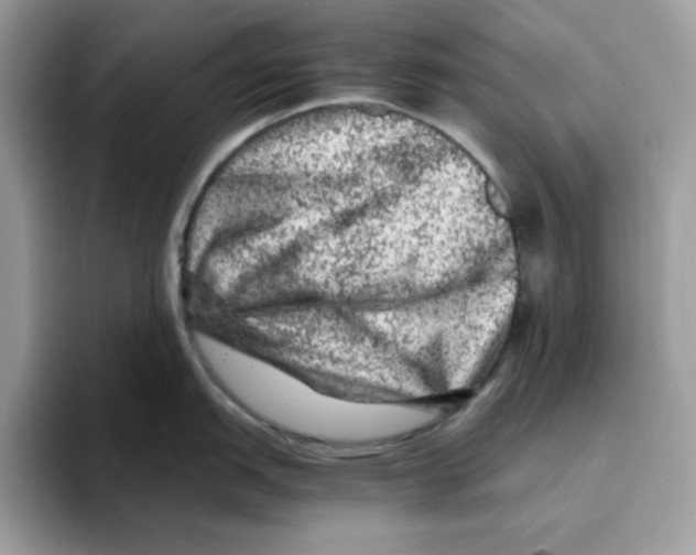 X0000093431151200711091431