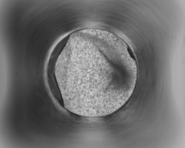 X0000093431152200711091431