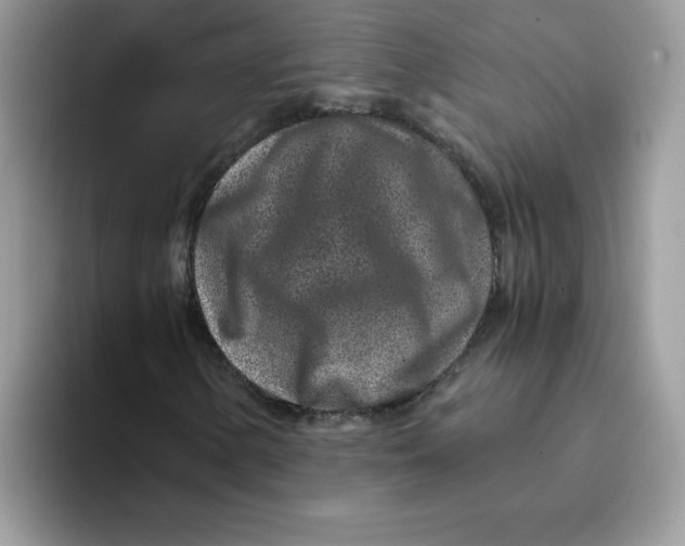 X0000093431154200711091430