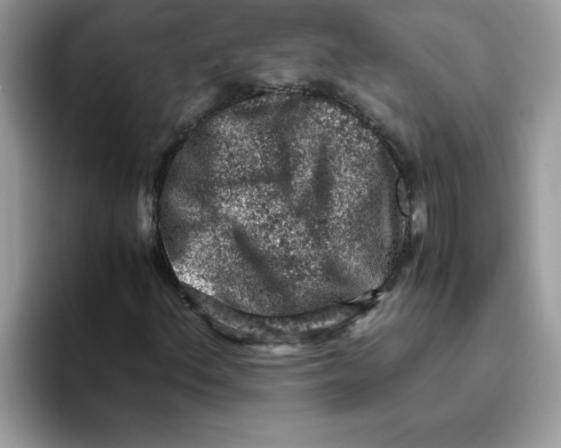 X0000093431156200711091430