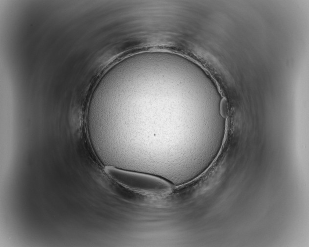 X0000093431169200711091430