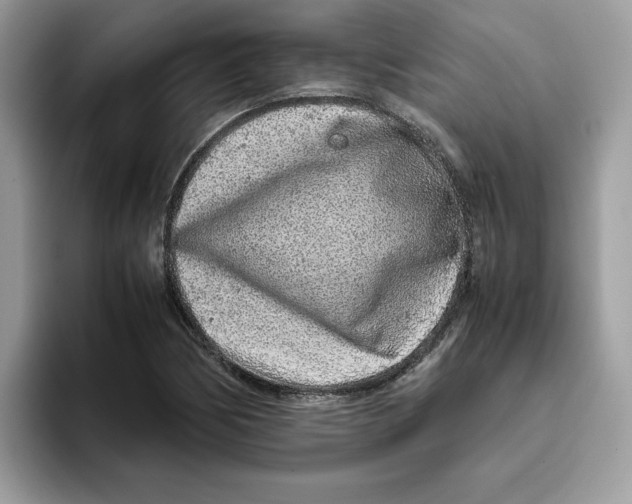 X0000093431170200711091430