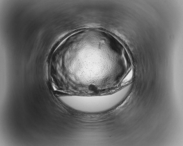 X0000093431171200711091430