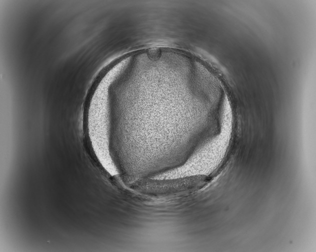 X0000093431174200711091430