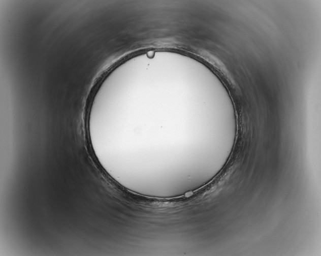 X0000093431176200711091430