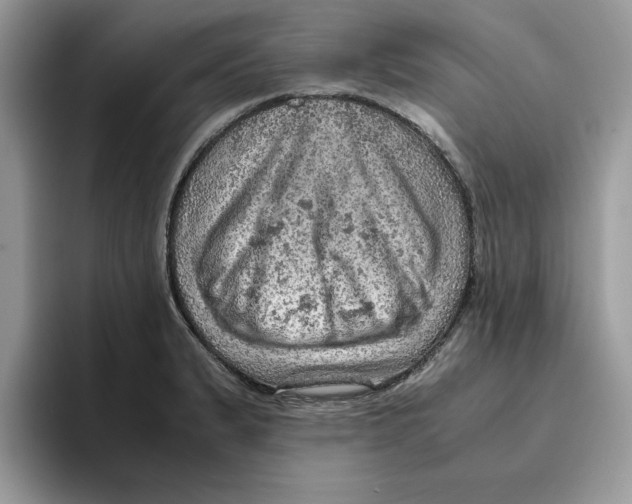 X0000093431183200711091430