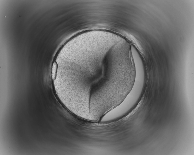 X0000093431184200711091430