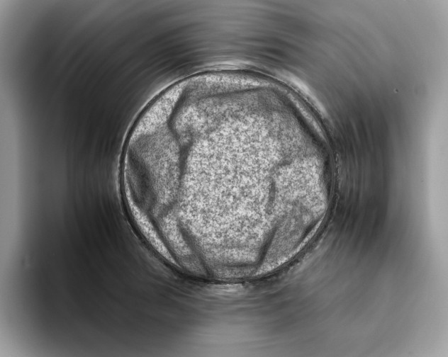 X0000093431186200711091430