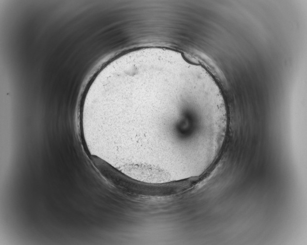 X0000093431188200711091430