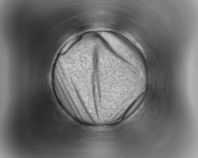 X0000093431189200711091430