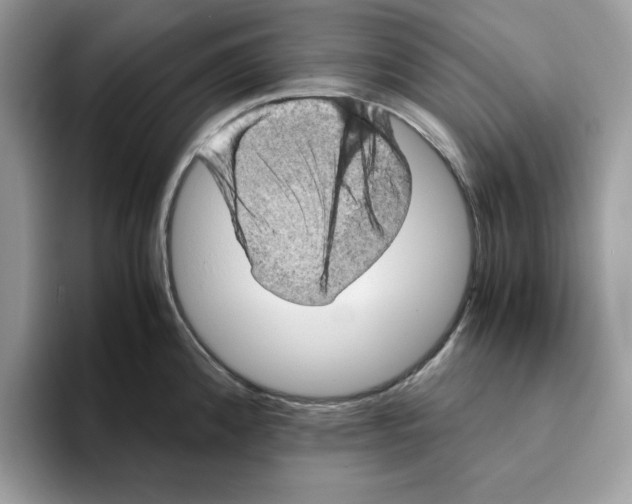 X0000093431192200711091430