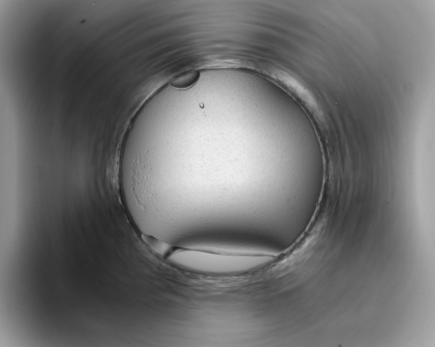 X0000093431193200711091430