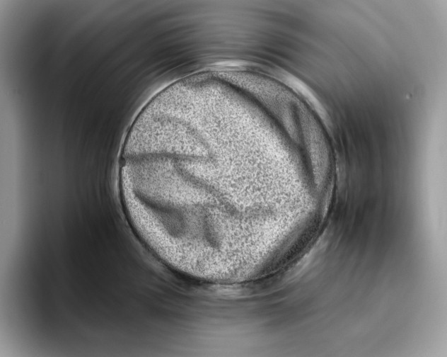 X0000093431194200711091430