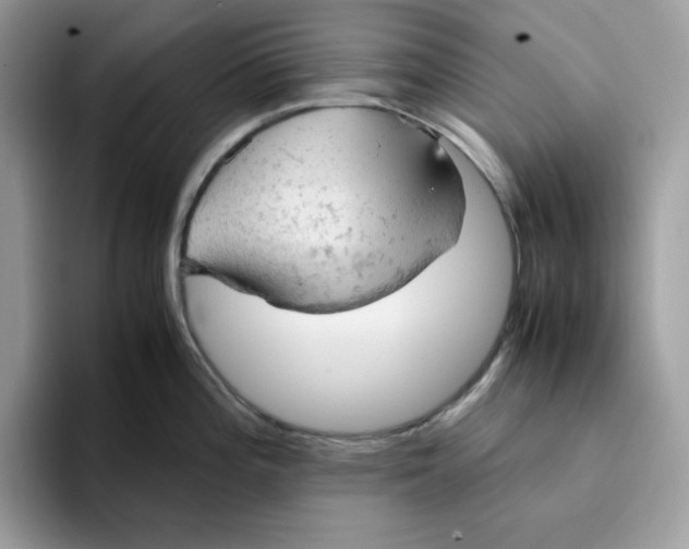 X0000093431196200711091430