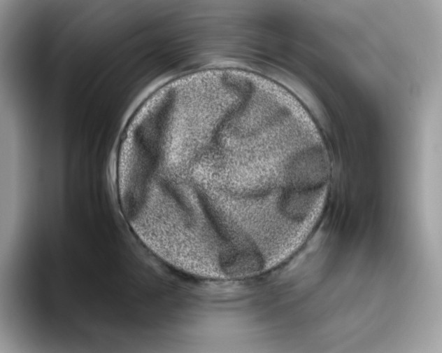 X0000093431198200711091430