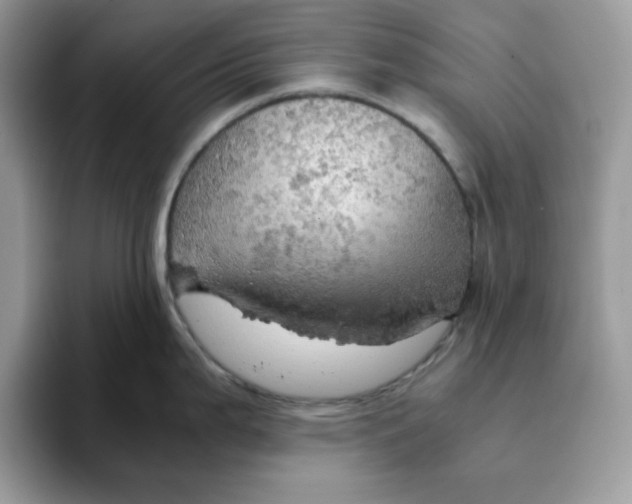 X0000093431199200711091430