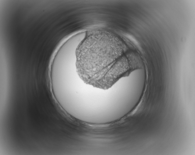 X0000093431200200711091430