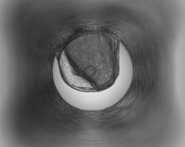 X0000093431202200711091429