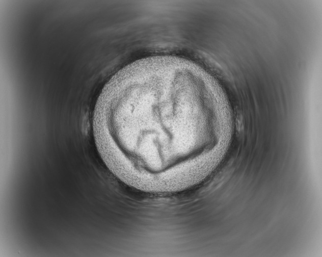 X0000093431204200711091429