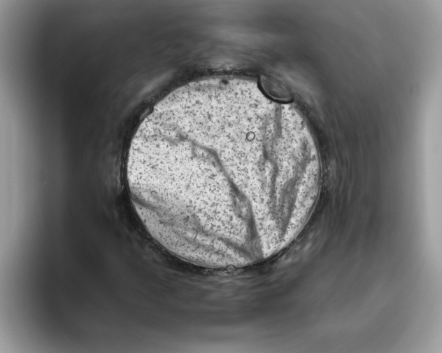 X0000093431205200711091429