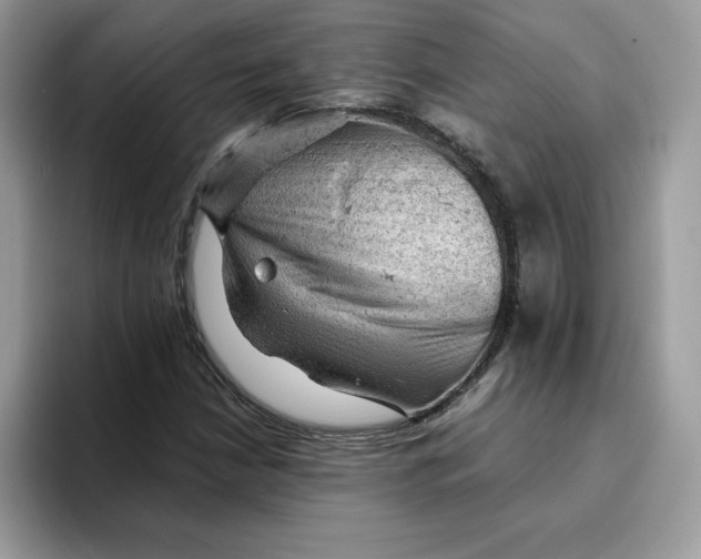 X0000093431210200711091429