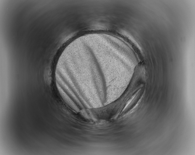 X0000093431213200711091429