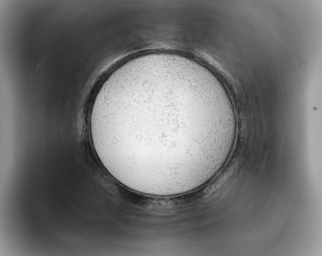 X0000093431215200711091429