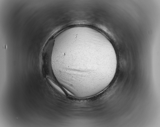 X0000093431221200711091430