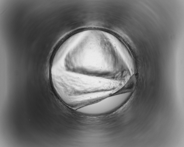 X0000093431224200711091430