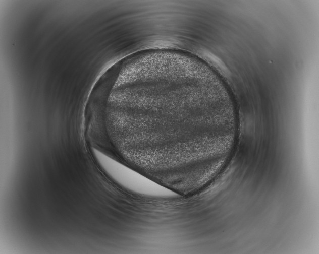 X0000093431226200711091430