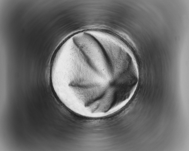 X0000093431228200711091430