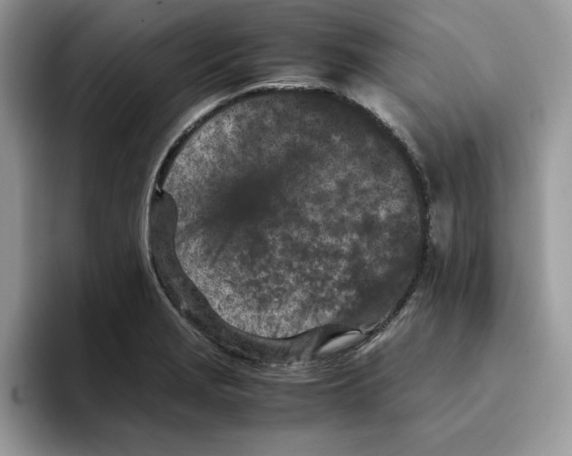 X0000093431229200711091430