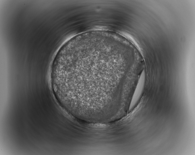 X0000093431235200711091430