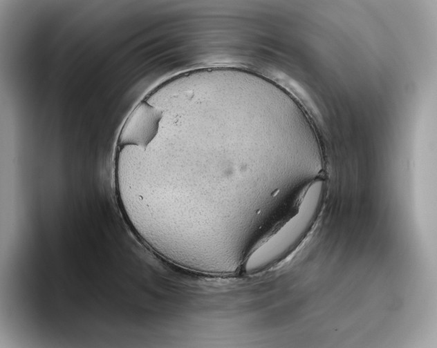 X0000093431236200711091430