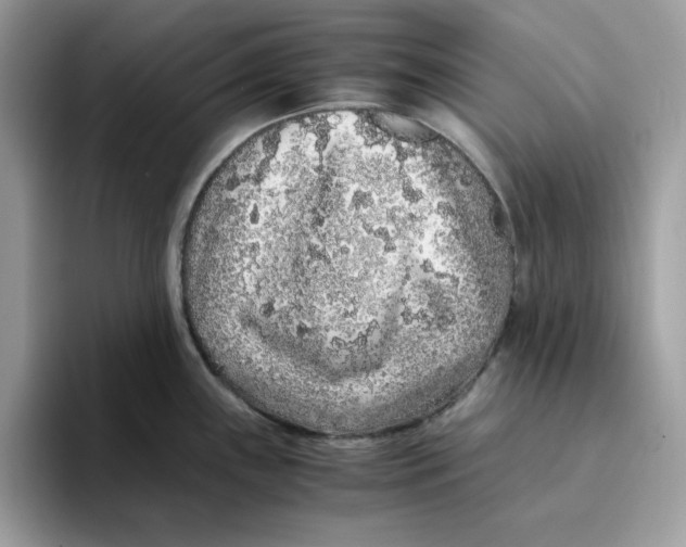 X0000093431243200711091430