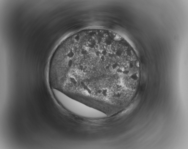 X0000093431245200711091430