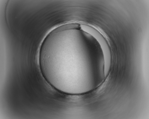 X0000093431246200711091430