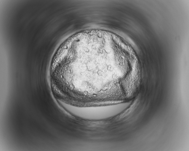 X0000093431247200711091430