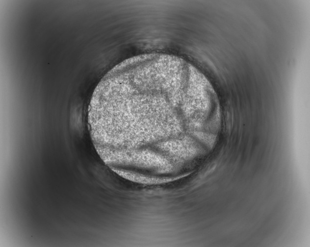 X0000093431250200711091429